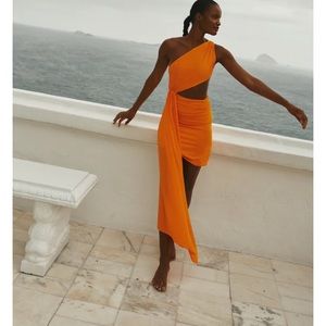 Baobab Zadeh Mini Dress